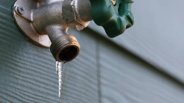 Best Leak Detection Services  in Pecan Plantation, TX